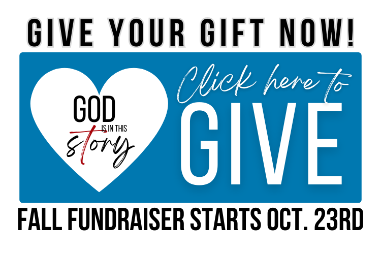 blue box with give now